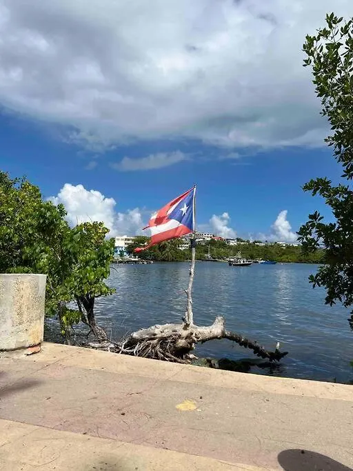 Apartamento Casa Rosado Villa Marina Fajardo Yunque Seven Seas